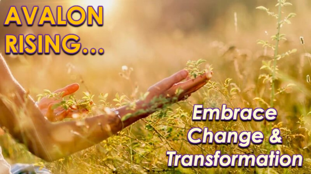Change & Transformation with Openhand