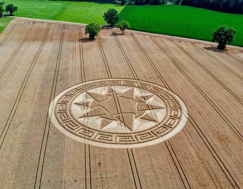 Facilitator Conference 25: Crop Circle Germany
