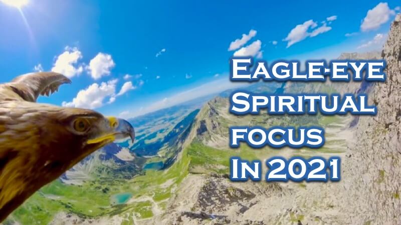 Eagle Eye Focus in 2021