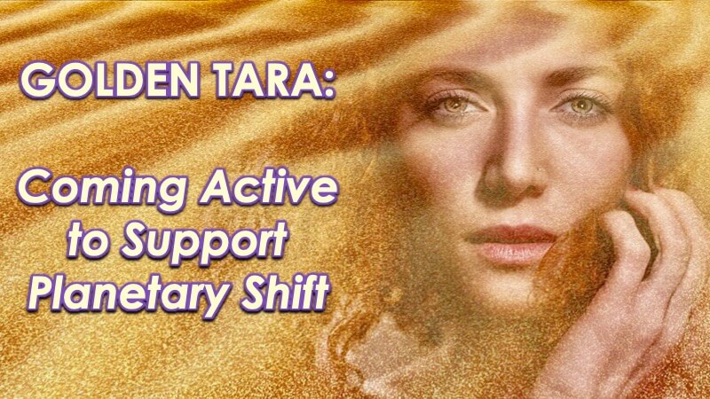 Golden Tara comes Active with Openhand