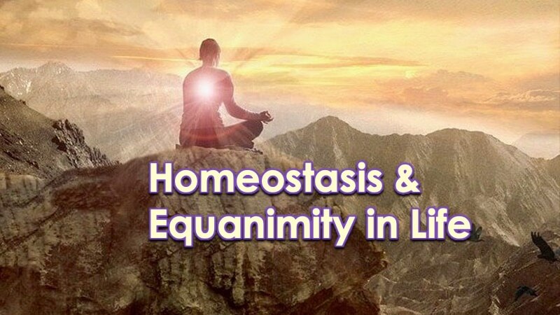 Homeostatis - Equanimity with Openhand