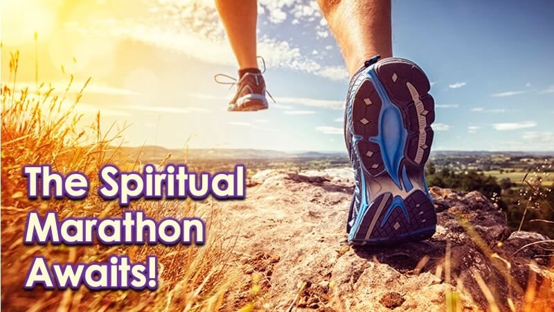 Our Spiritual Marathon Awaits with Openhand