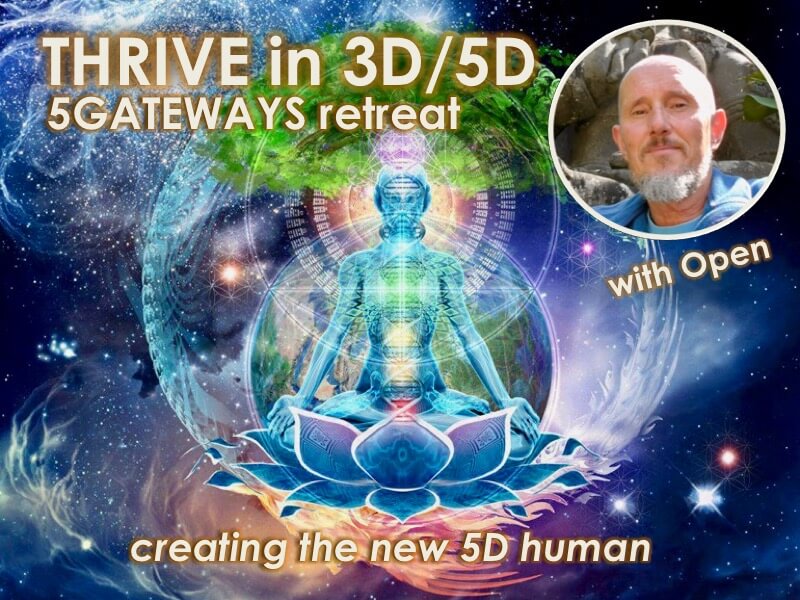 Thrive in 3D/5D with Openhand - Online Retreats