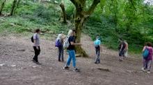 Facilitator Conference 25: Elemental Connections