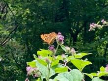 Facilitator Conference 25: Divine Presence