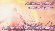 Overcoming Soul Harvesting