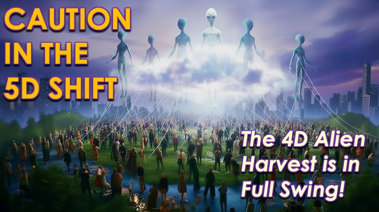 The 4D Harvest by Openhand