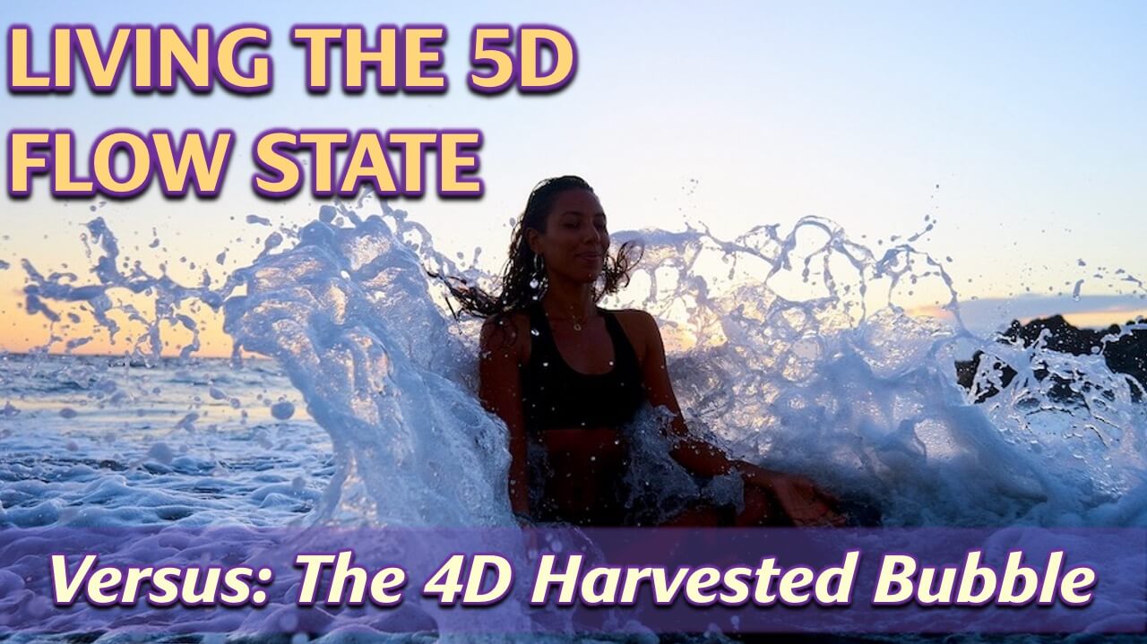 5D Flow State by Openhand