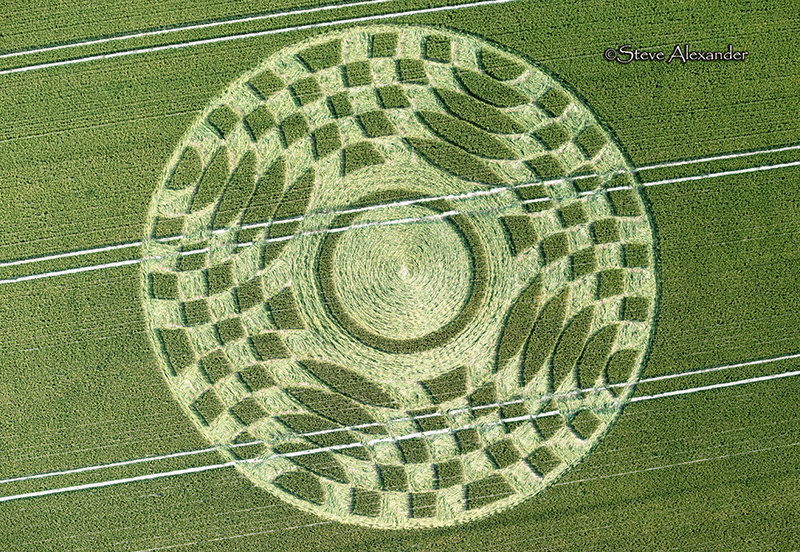 New Crop Circle in Hampshire