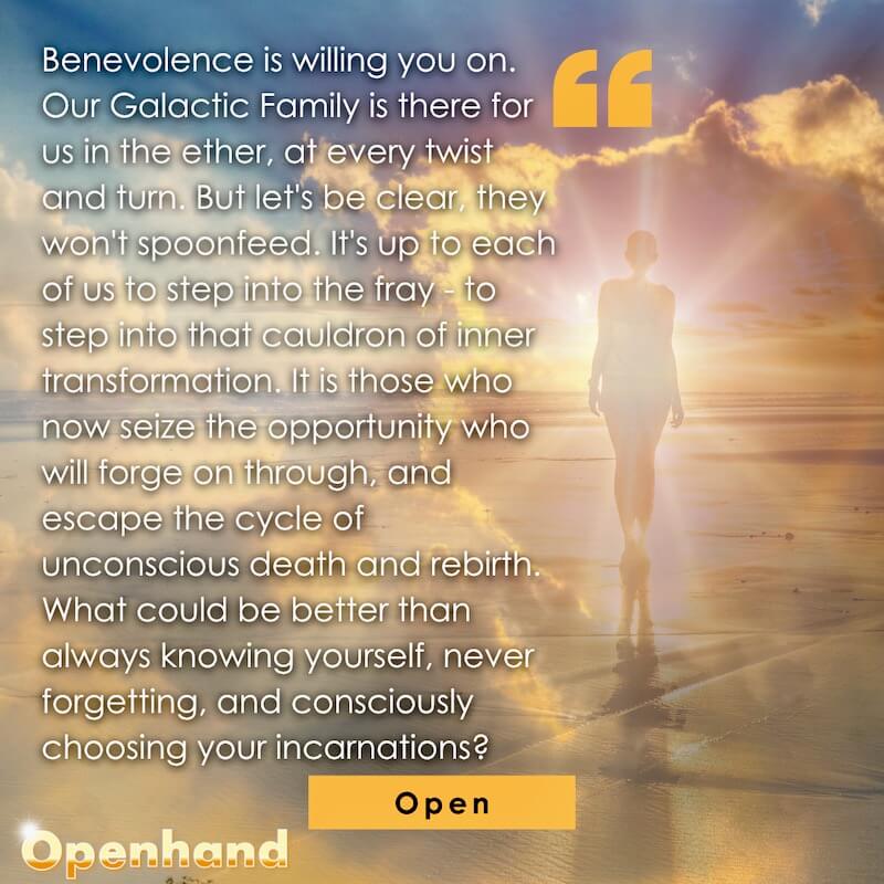 Benevolent Support in The Shift by Openhand