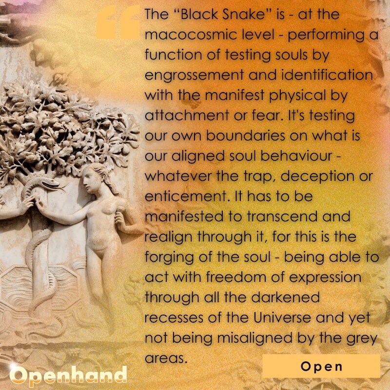 Black Snake Energy by Openhand
