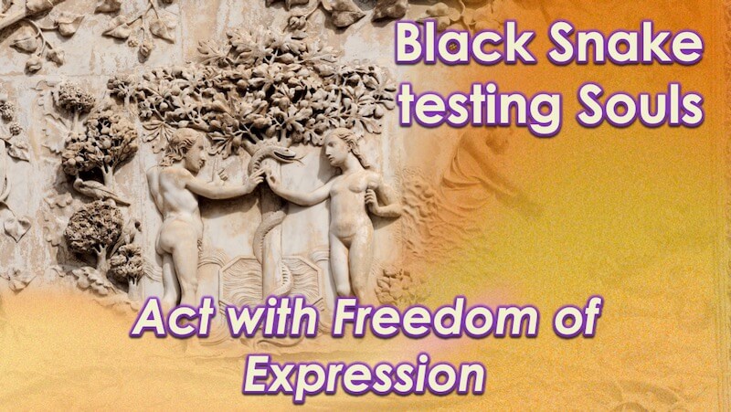 Exploring Black Snake Energy in The Shift by Openhand