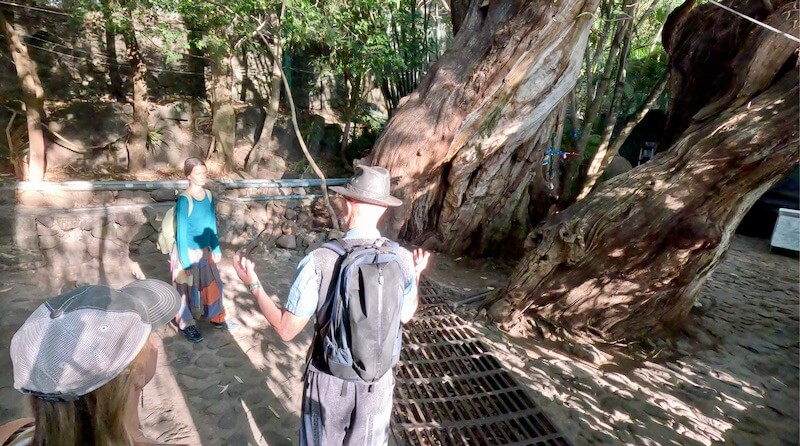 Mexico 26: Excursion Begins