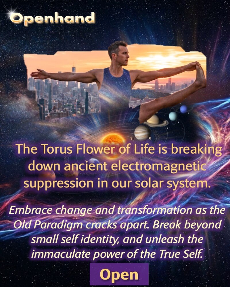 The Flower of Life is Breaking Through | Openhand