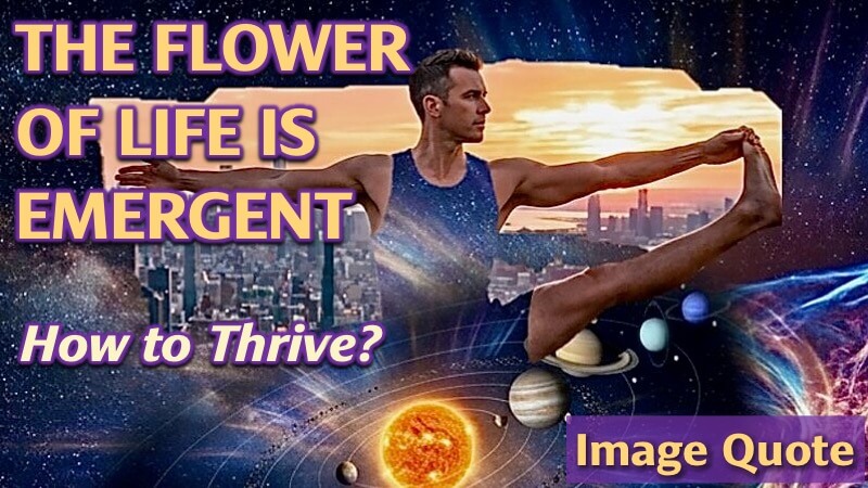 Break past the small self identity into the Flower of Life | Openhand