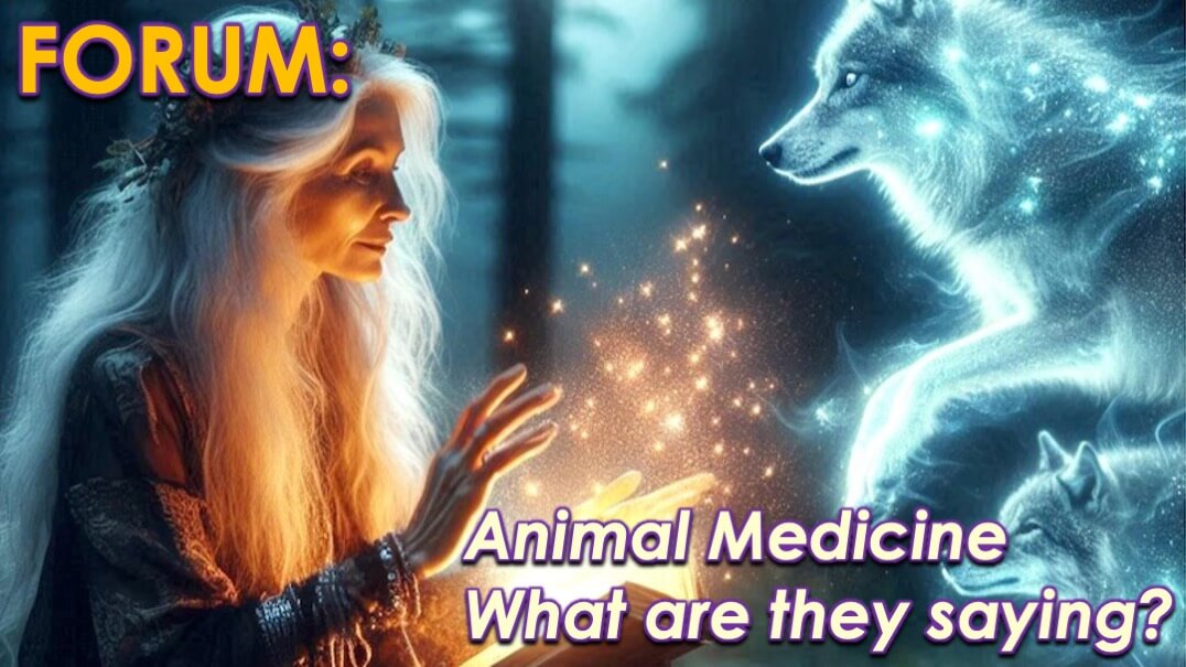 Animal Medicine Forum by Openhand