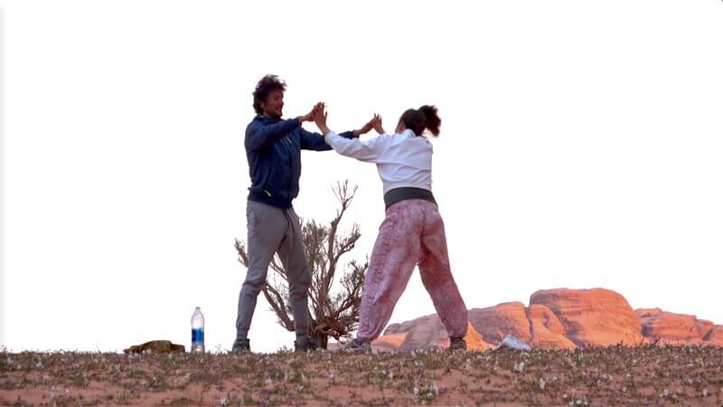 Arabia 26: Desert Torus by Openhand