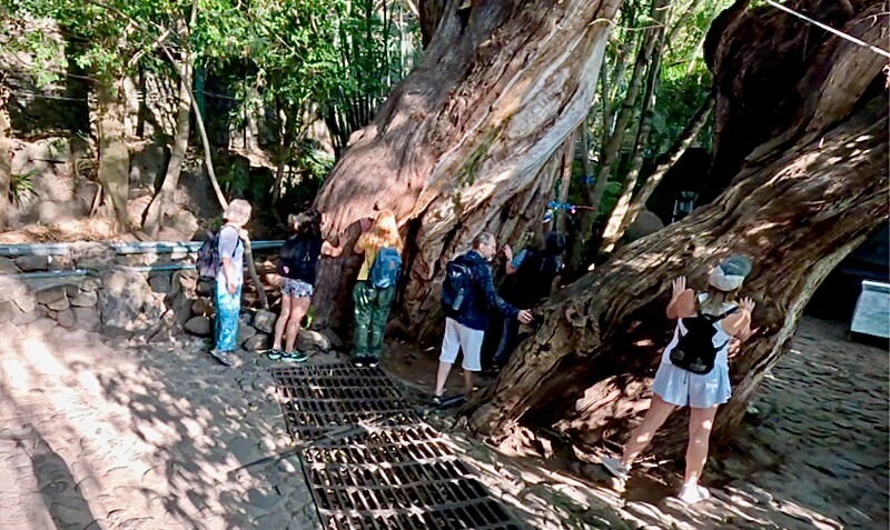 Mexico 26: Paying respects