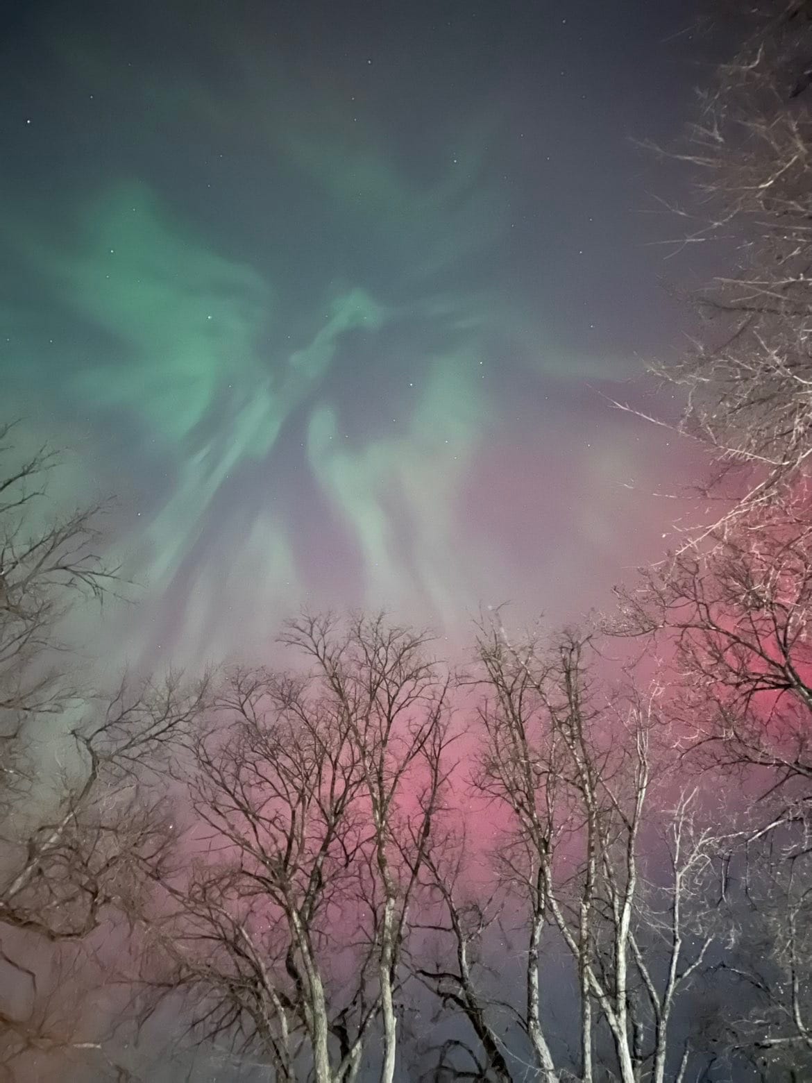 Sydney 2025: Phoenix