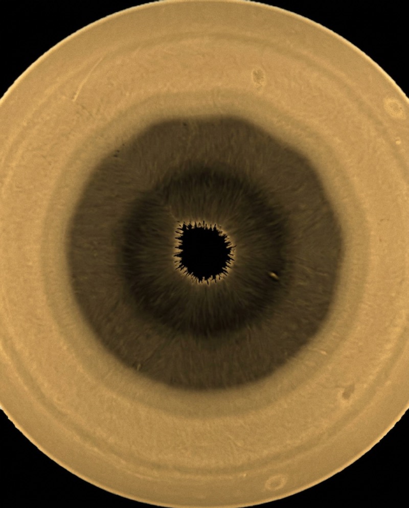 Saturn's South Pole | Openhand