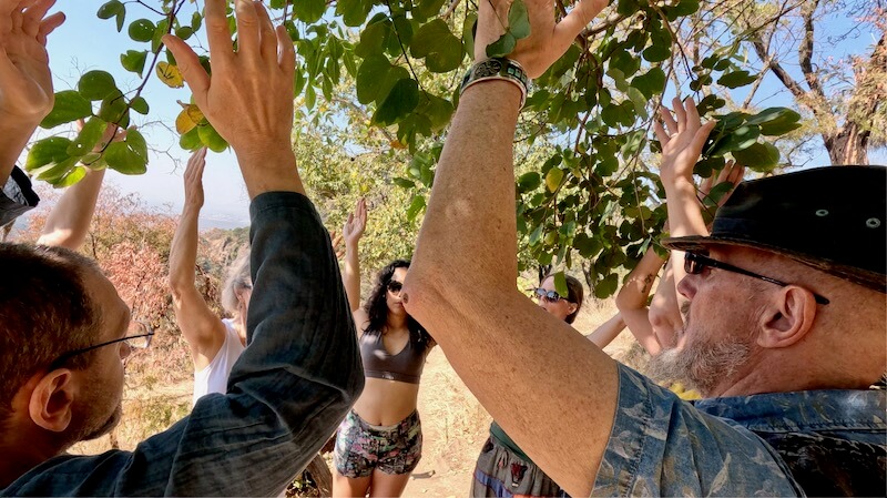 Mexico 26: Singing Chakras