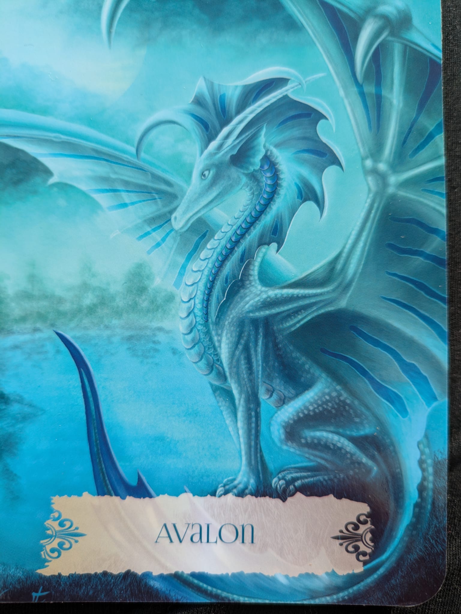 Avalon Dragon depiction