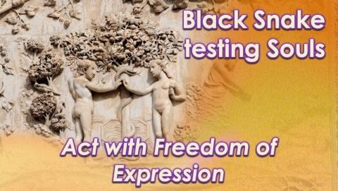 Exploring Black Snake Energy in The Shift by Openhand