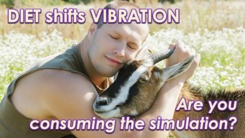 Meat & Dairy - Vibrational Effect by Openhand