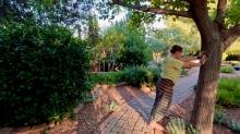 Sedona Journal 26: Agnes Anchoring | Openhand