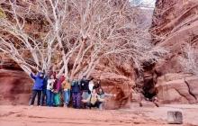 Arabia 26: Closing Photo by Openhand