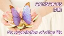 A Conscious Diet by Openhand