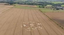 Dragon Crop Circle Phase 2/1 by Openhand