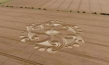 Dragon Crop Circle Phase 2/2