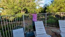 Sedona Journal 26: Confronting the Inner Prison | Openhand