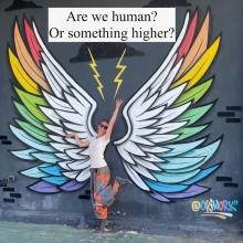 Andy's Captions - Openhand