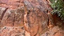 Sedona 24: Petroglyph Calendar