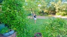 Sedona Journal 26: Through the Eye of the Needle | Openhand